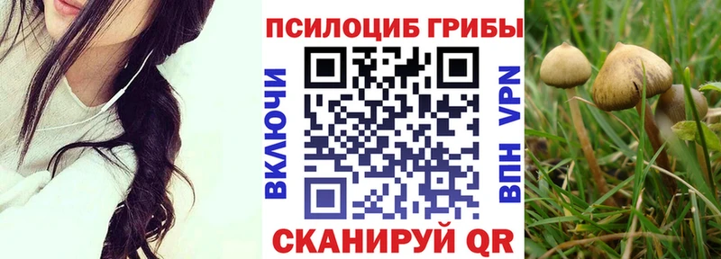 Псилоцибиновые грибы ЛСД  Юрьев-Польский 